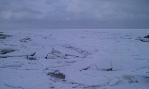 This picture was taken right near the border between Eastham and Orleans on the bay side of the Cape. The ice extends as far as the eye can see.